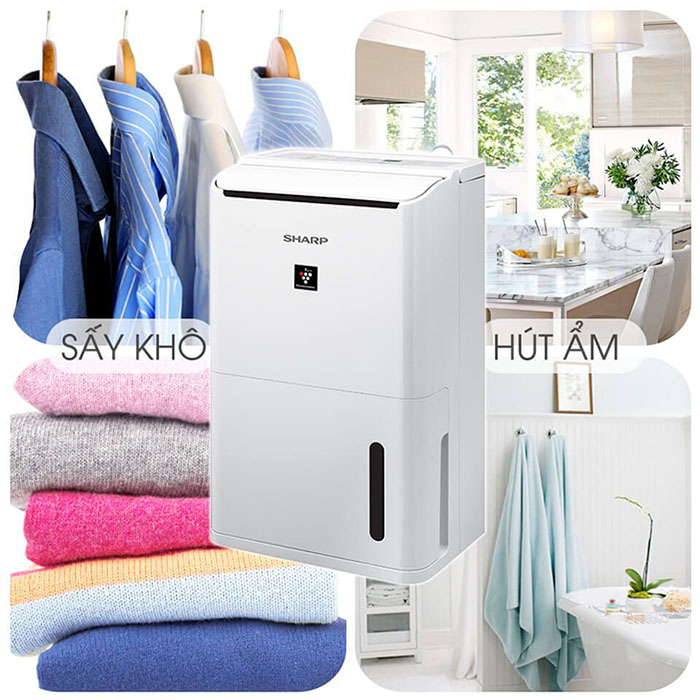 Máy lọc không khí Sharp DW-D12A-W (hút ẩm)