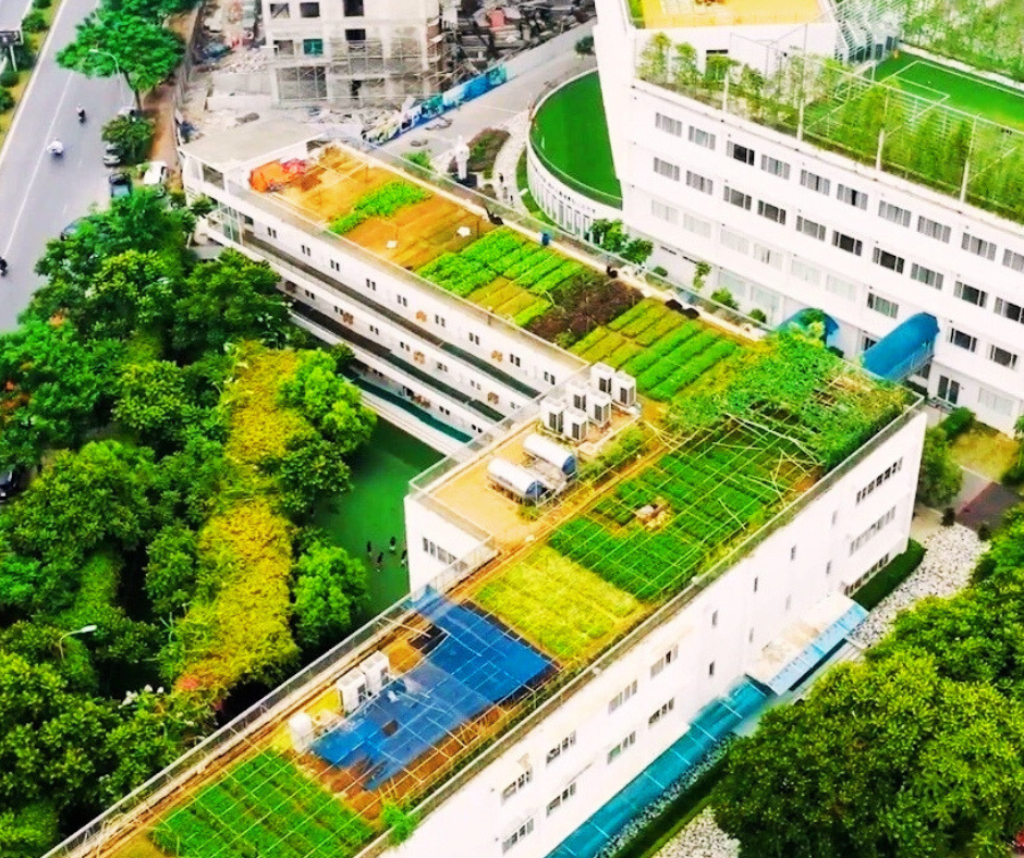 Dự án Trường Quốc tế Nhật Bản